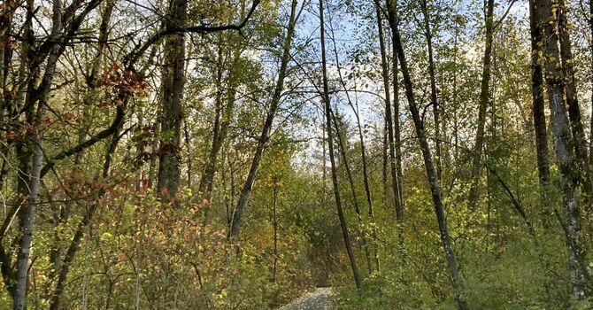 Pilgrimage Walk