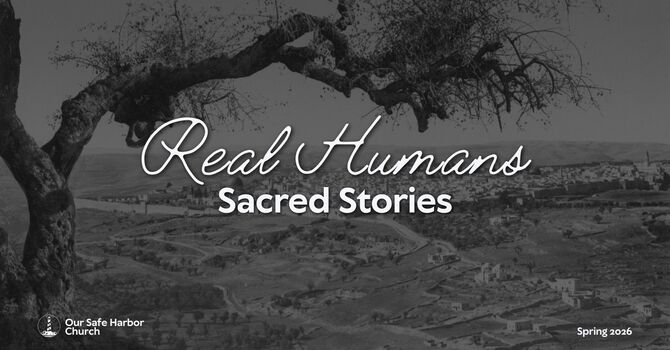 Lot: Sold Out and Caught Out