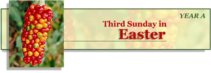 THIRD SUNDAY OF EASTER