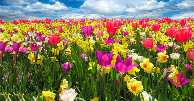 Third Sunday of Easter