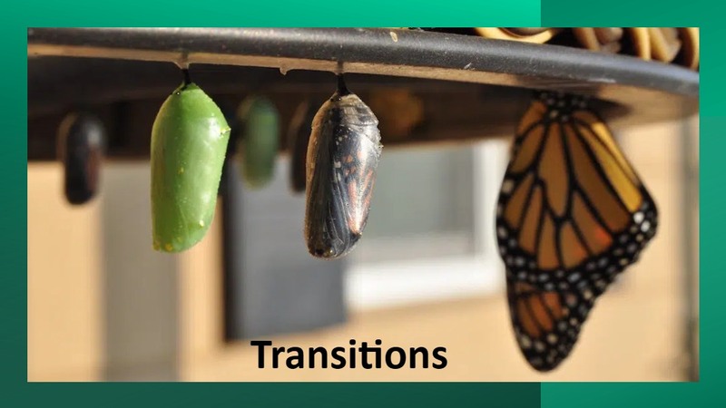 Transitions