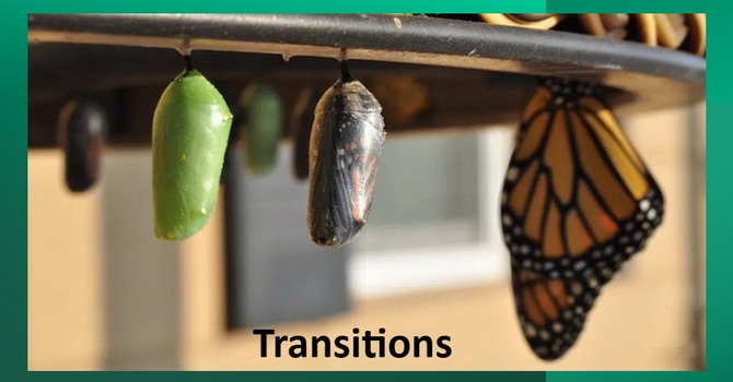 Transitions
