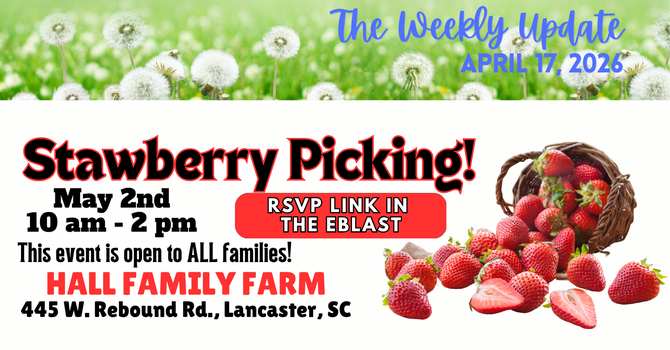 4-17-26 Weekly Update image