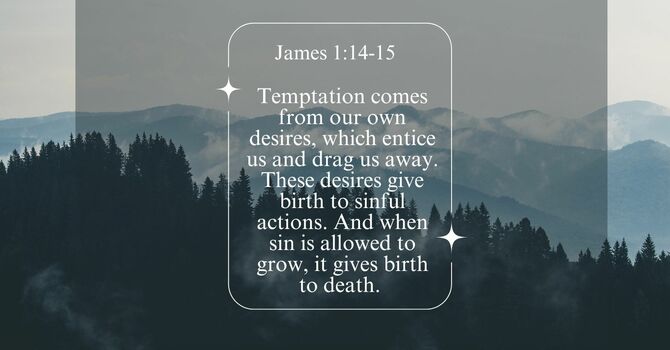 Don't Get Sucked In!