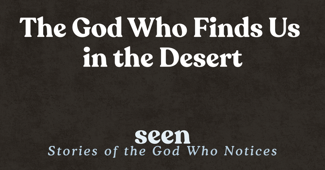 The God Who Finds Us in the Desert