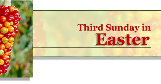 THIRD SUNDAY OF EASTER