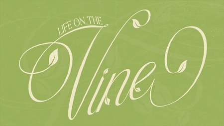 Life on the Vine
