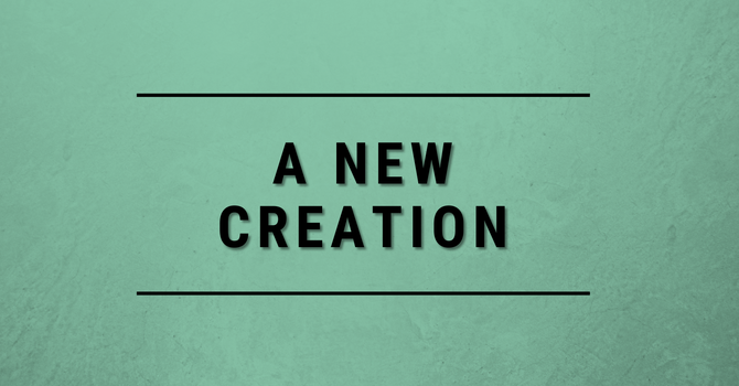 A New Creation