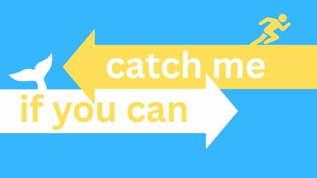 Catch Me If You Can