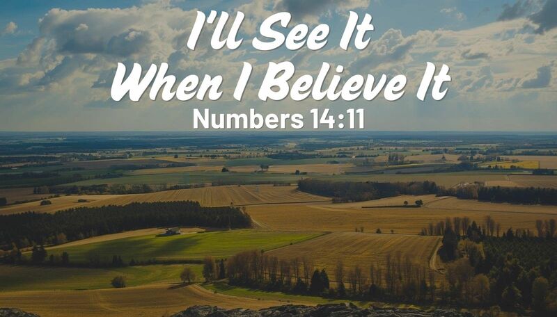 I'll See It When I Believe It