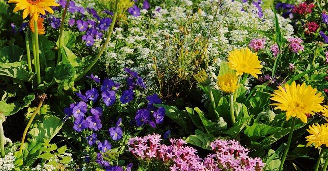 Behind the Music: In the Garden