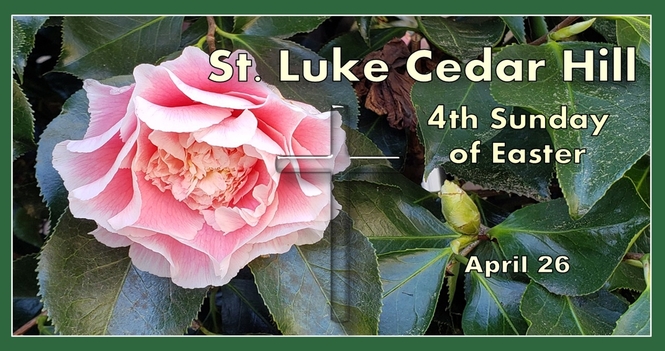 Services for the Fourth Sunday of Easter