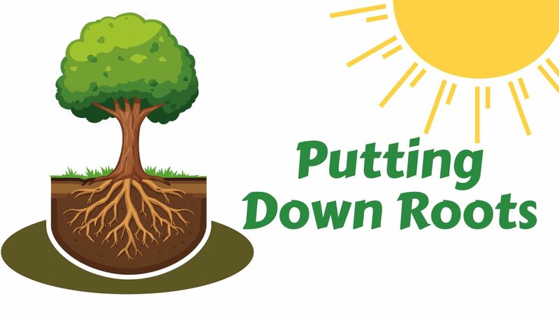 Putting Down Roots
