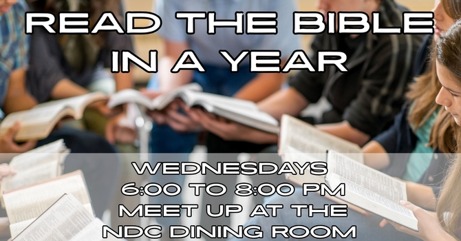 Read the Bible in a year