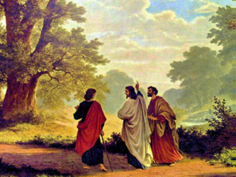 A Life-changing Meal