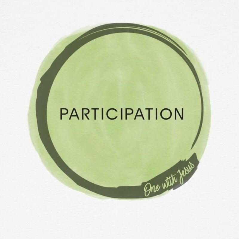 Participation