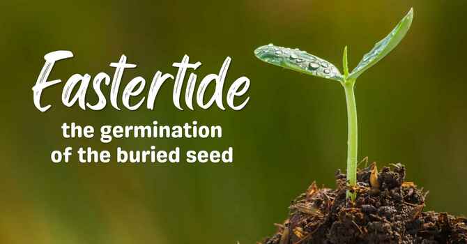 Getting Ahead With Jesus