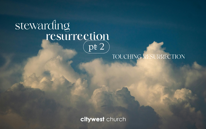 Stewarding Resurrection