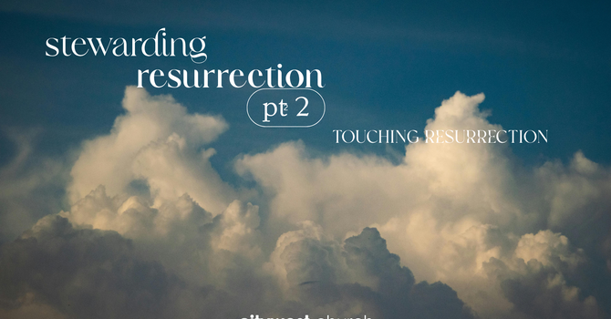 Stewarding Resurrection