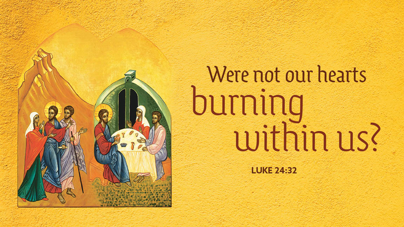 3rd Sunday of Easter 