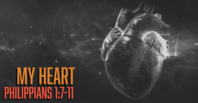 My Heart