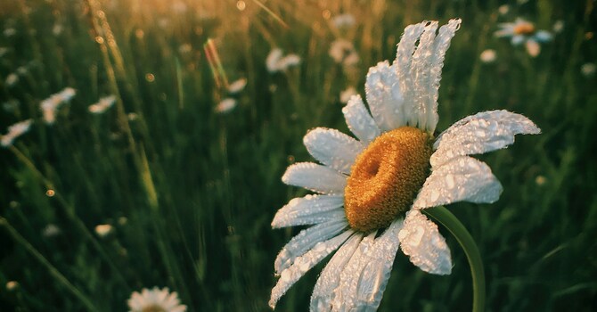 Prepare Your Heart for Worship on April 26 image