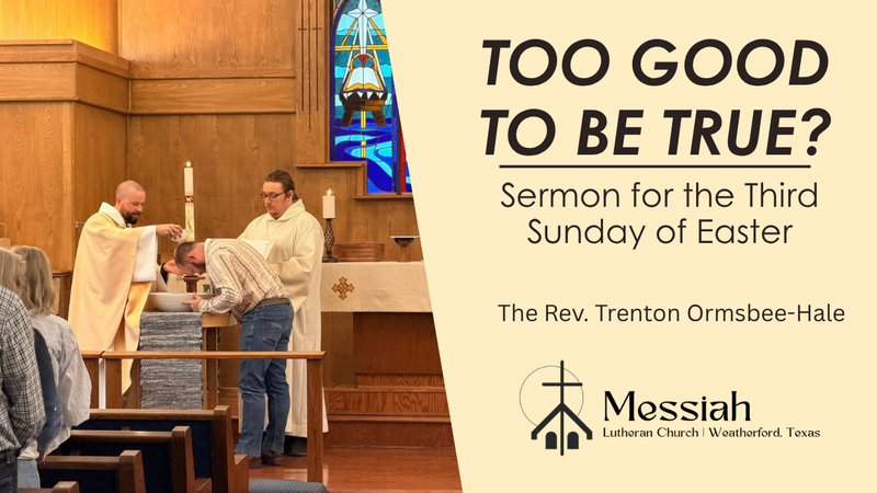 Too Good to be True?