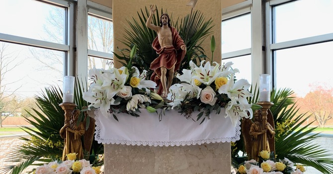 7th Sunday of Easter image