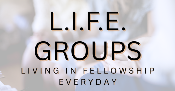 L.I.F.E. Groups