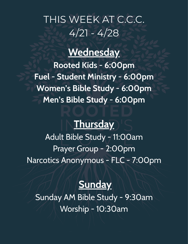 This Week's Schedule