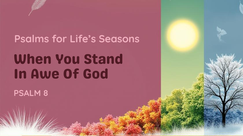 When You Stand In Awe Of God