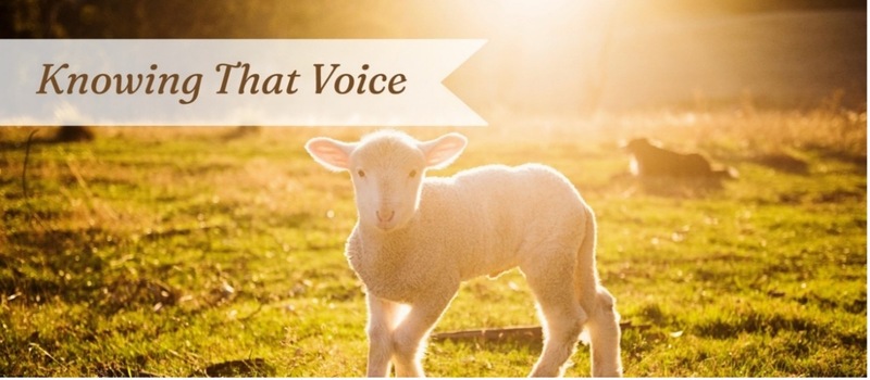 April 26, 2026 Sunday Worship