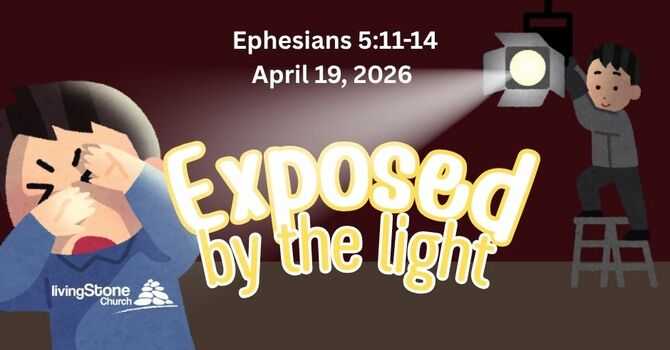 Exposed By The Light