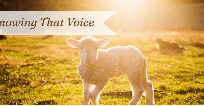 April 26, 2026 Sunday Worship