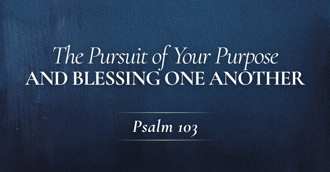 The Pursuit of Your Purpose And Blessing One Another