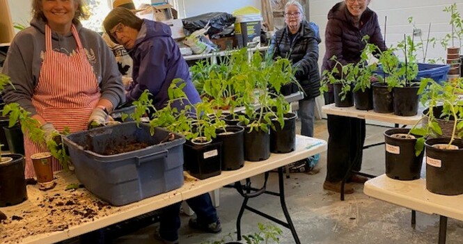 Williams Lake planting bee