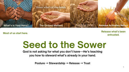 SEED TO THE SOWER
