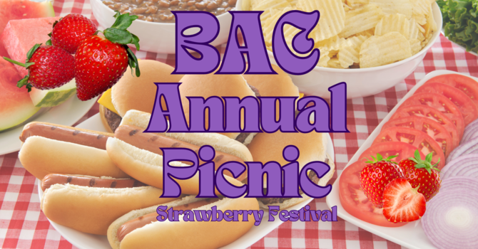 Strawberry Festival Picnic
