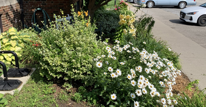 Plant & Orchid Sale.