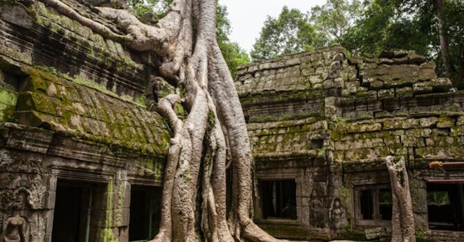 Youth - Going Deeper