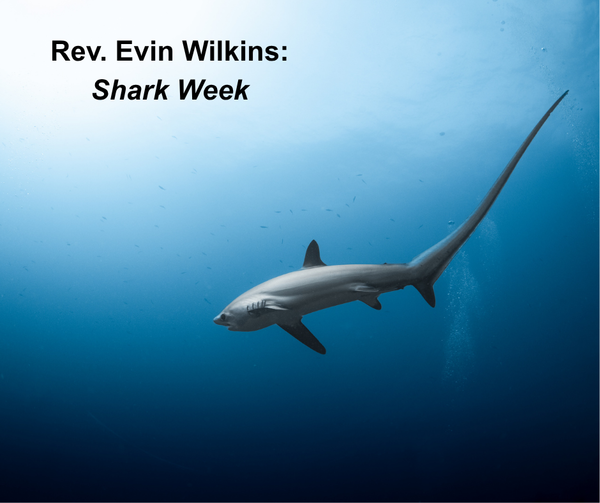 Sunday's Message