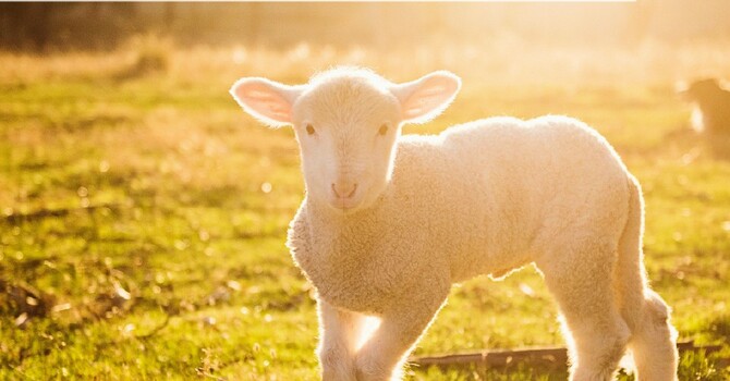 Upcoming Sermon Titles