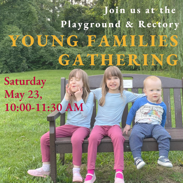 Young Families Gathering