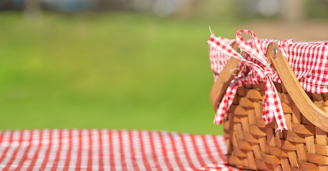 Adventure Club Program and Picnic