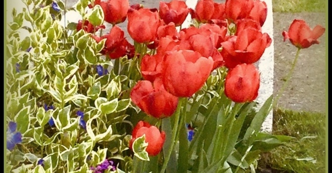 Tuesday Holy Communion