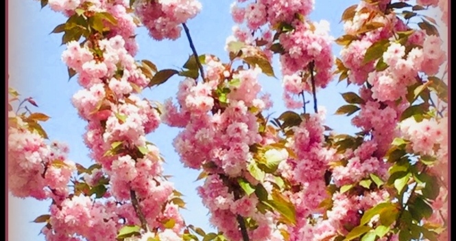 Tuesday Holy Communion