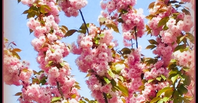 Tuesday Holy Communion