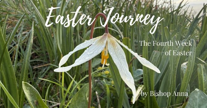 The Fourth Week of Easter