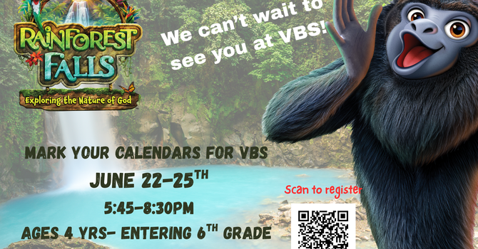 Rainforest Falls VBS 2026