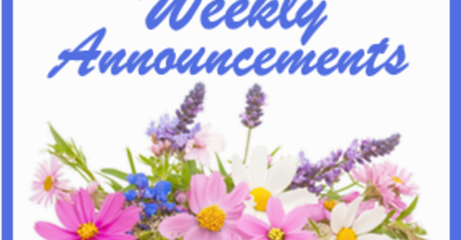 Weekly Announcements